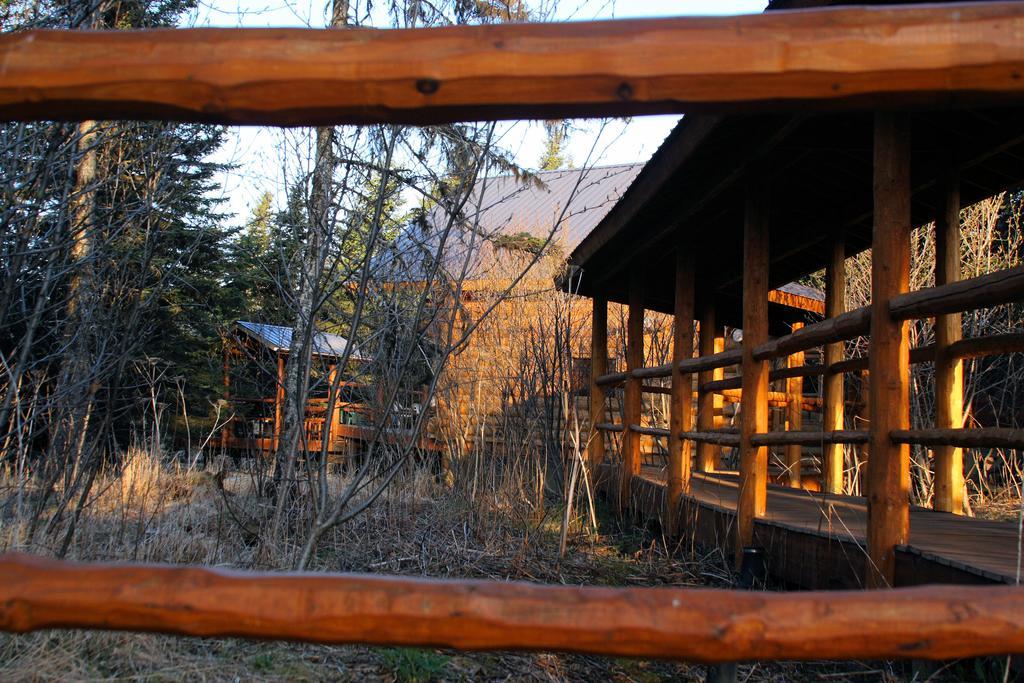 Wise Old Hunter Lodge Anchor Point Bagian luar foto